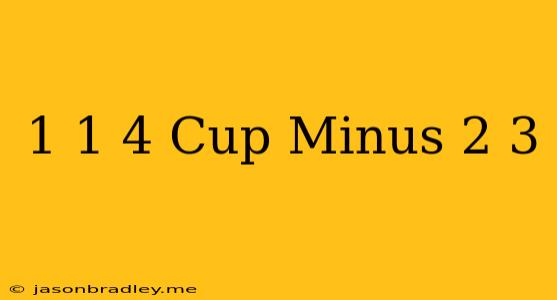 1 1/4 Cup Minus 2/3