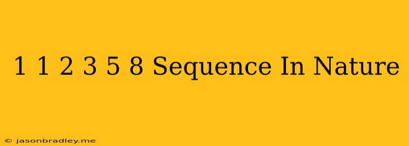 1 1 2 3 5 8 Sequence In Nature