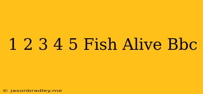 1 2 3 4 5 Fish Alive Bbc