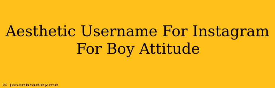 Aesthetic Username For Instagram For Boy Attitude