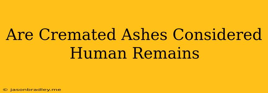 Are Cremated Ashes Considered Human Remains