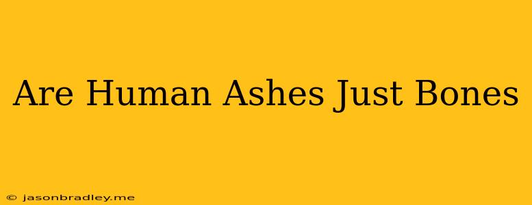 Are Human Ashes Just Bones