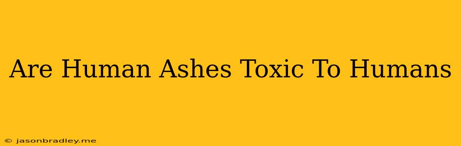 Are Human Ashes Toxic To Humans