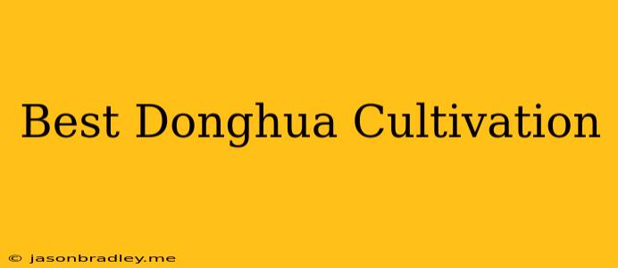 Best Donghua Cultivation