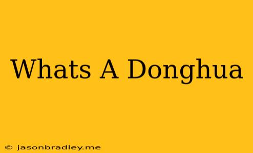 Whats A Donghua